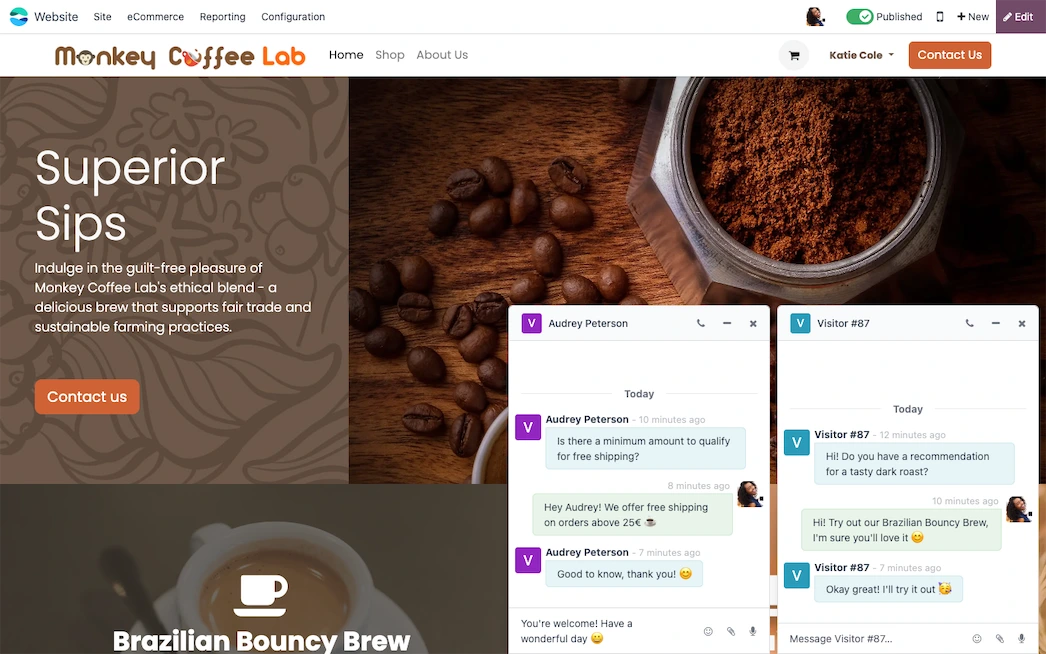 Site web Odoo avec deux fenêtres de Live Chat ouvertes en simultané permettant à un agent de gérer plusieurs conversations clients en temps réel